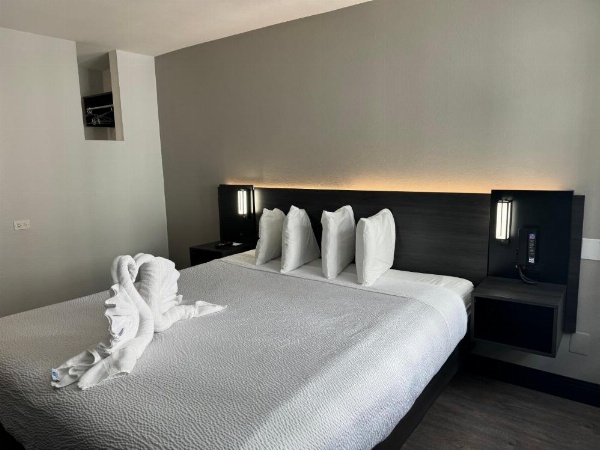 Motel 6 Hollywood image 9